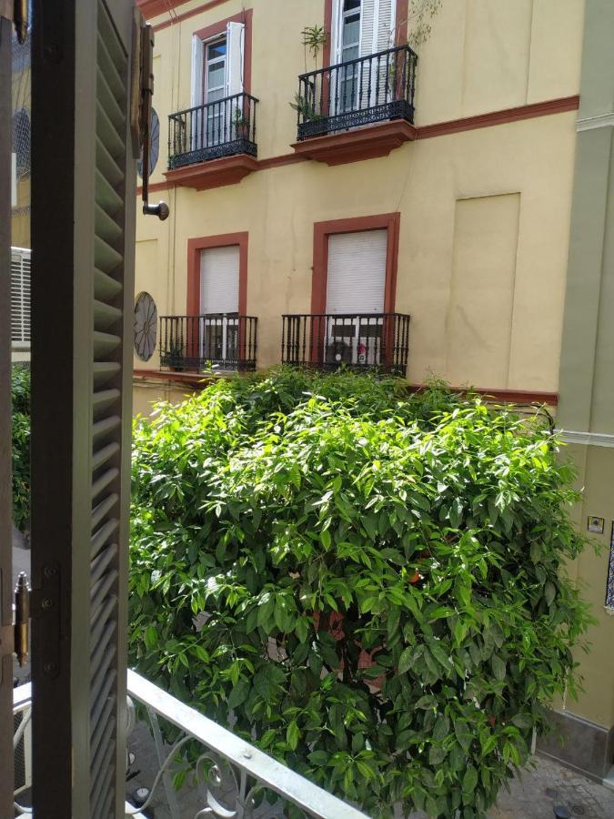 Apartamento El Arenal De 1 Apartment *
