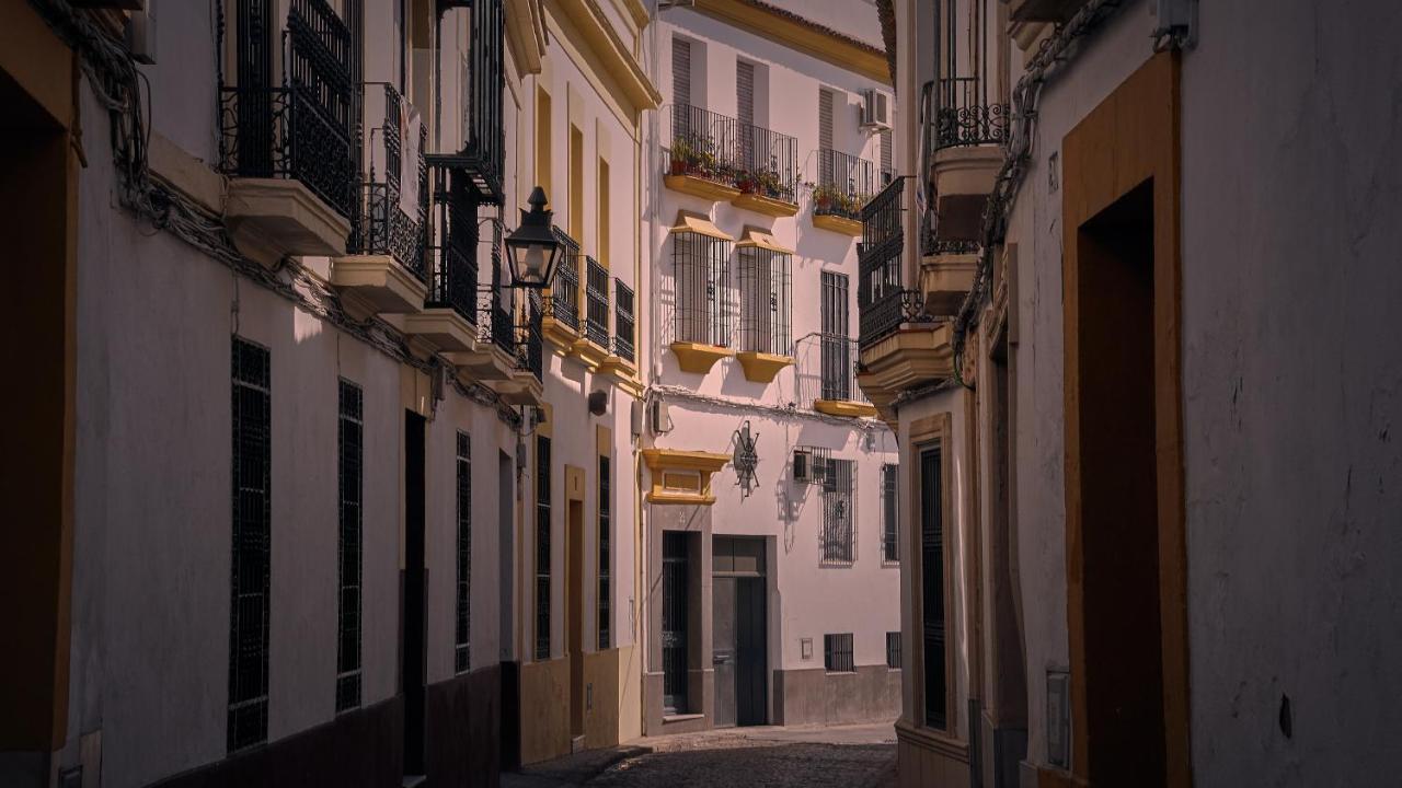 Premium Al Lado De La Giralda Apartment *