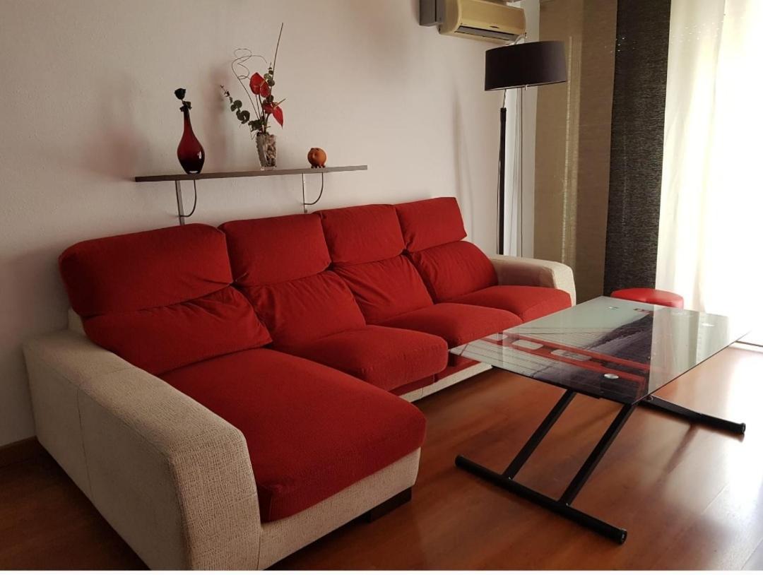 Pura Vida En Apartamento *