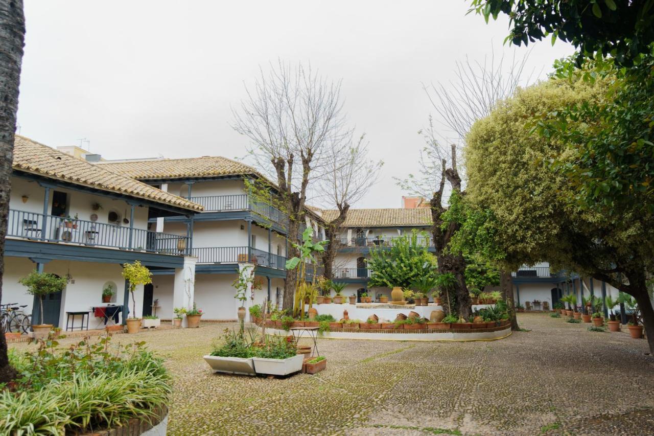 Earl's Farmyard * Sevilla