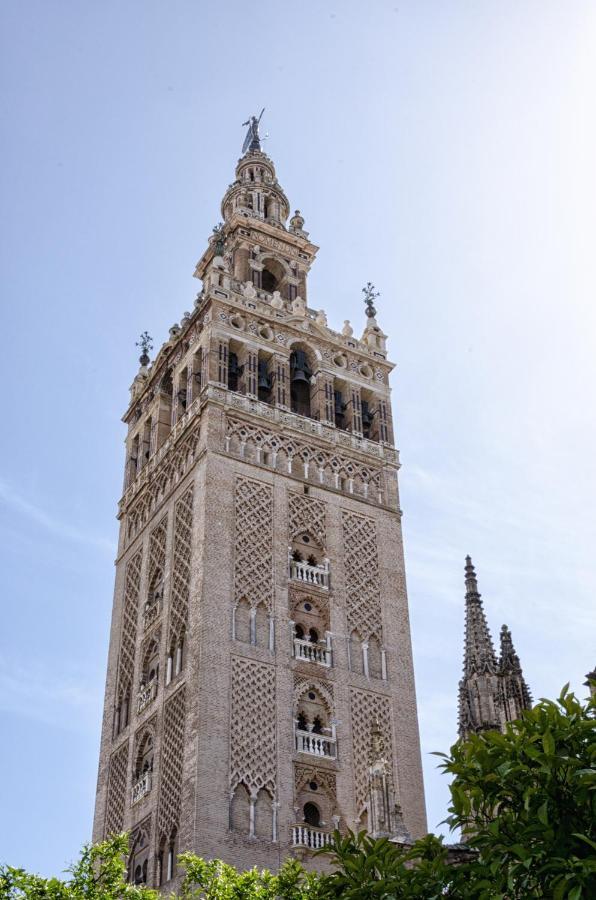 Alfalfa Sweet Apartment Seville