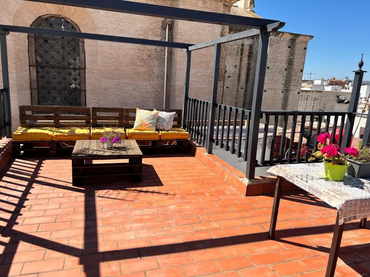 Aticocentrosvqdani Seville