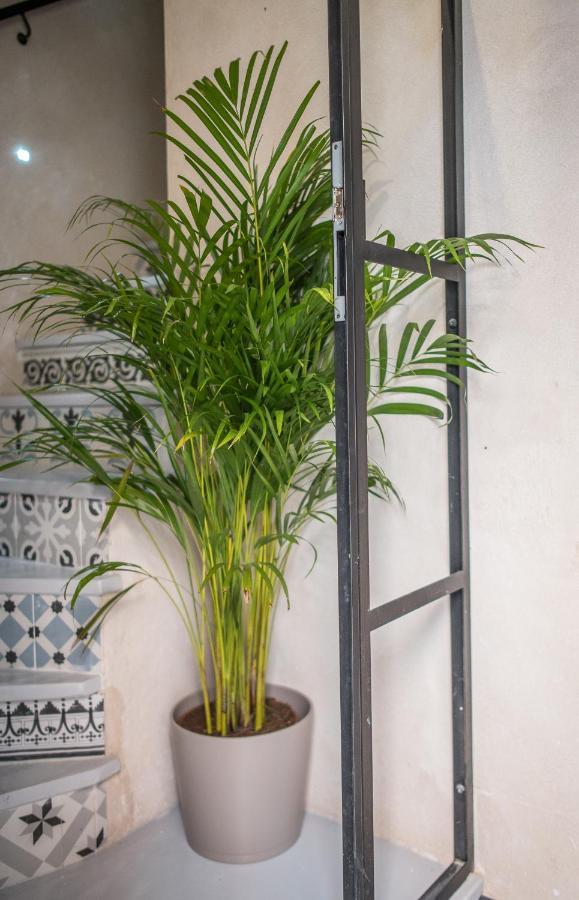 Rey De Flats - Duplex Museo * Seville