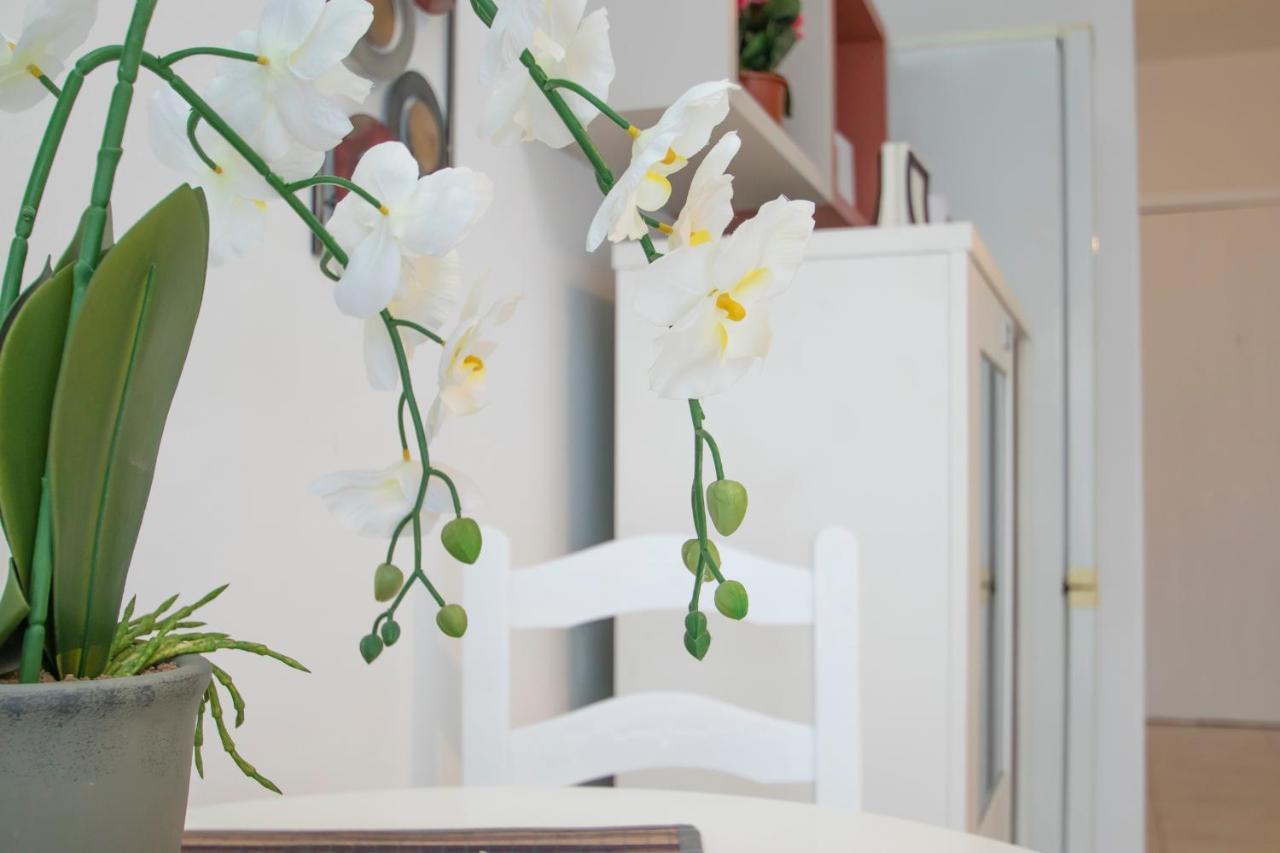 Apartamento Luminoso Y Acoger Loft, Excelente Ubicación *