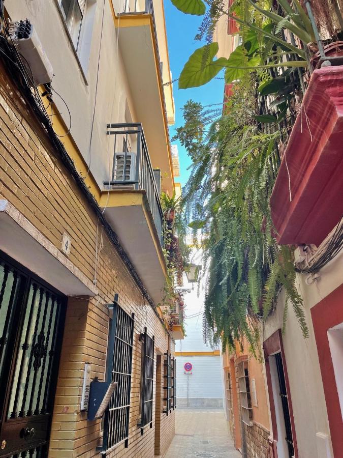 Apartamento Barrio De Santa Cruz, La Judería. Zona Inmejorable *