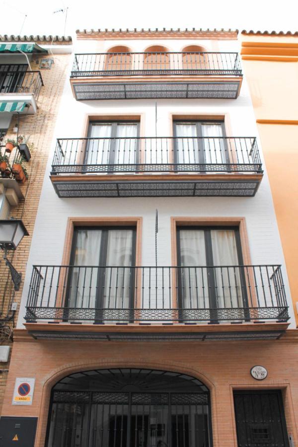 Monkeys Pureza House Sevilla