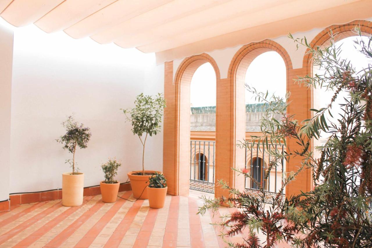 Monkeys Pureza House Apartamento *