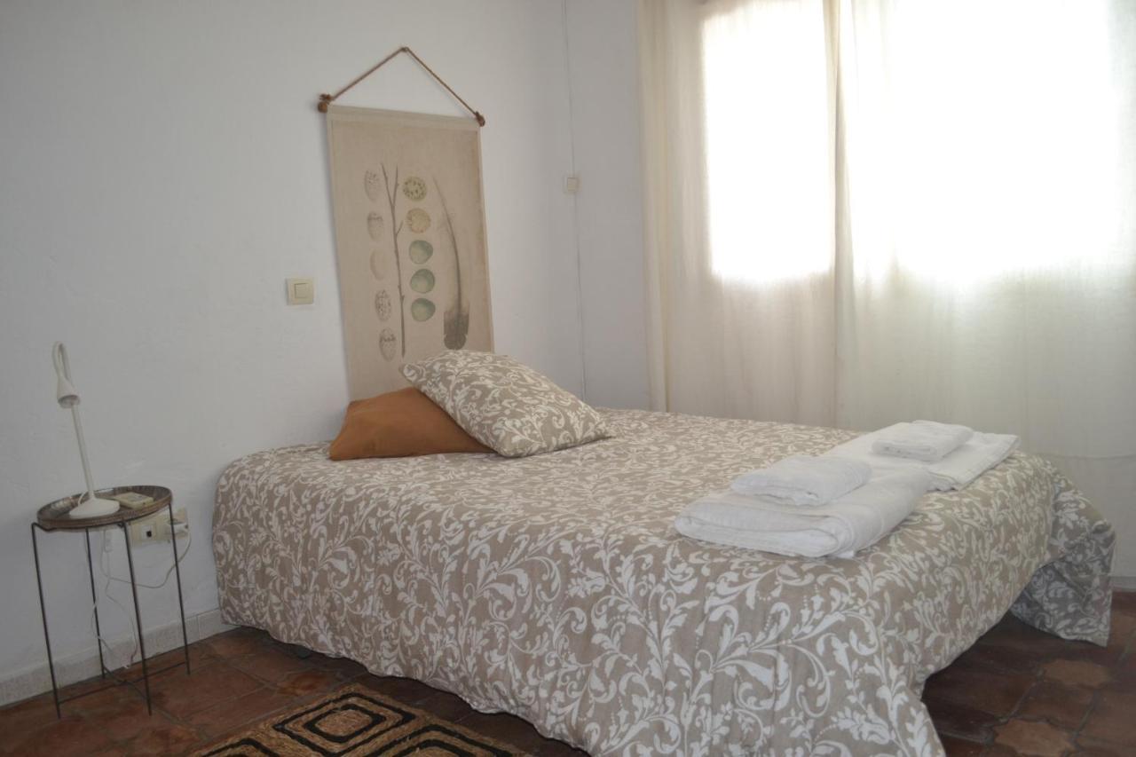 Charming House In Triana,best View From Patio *