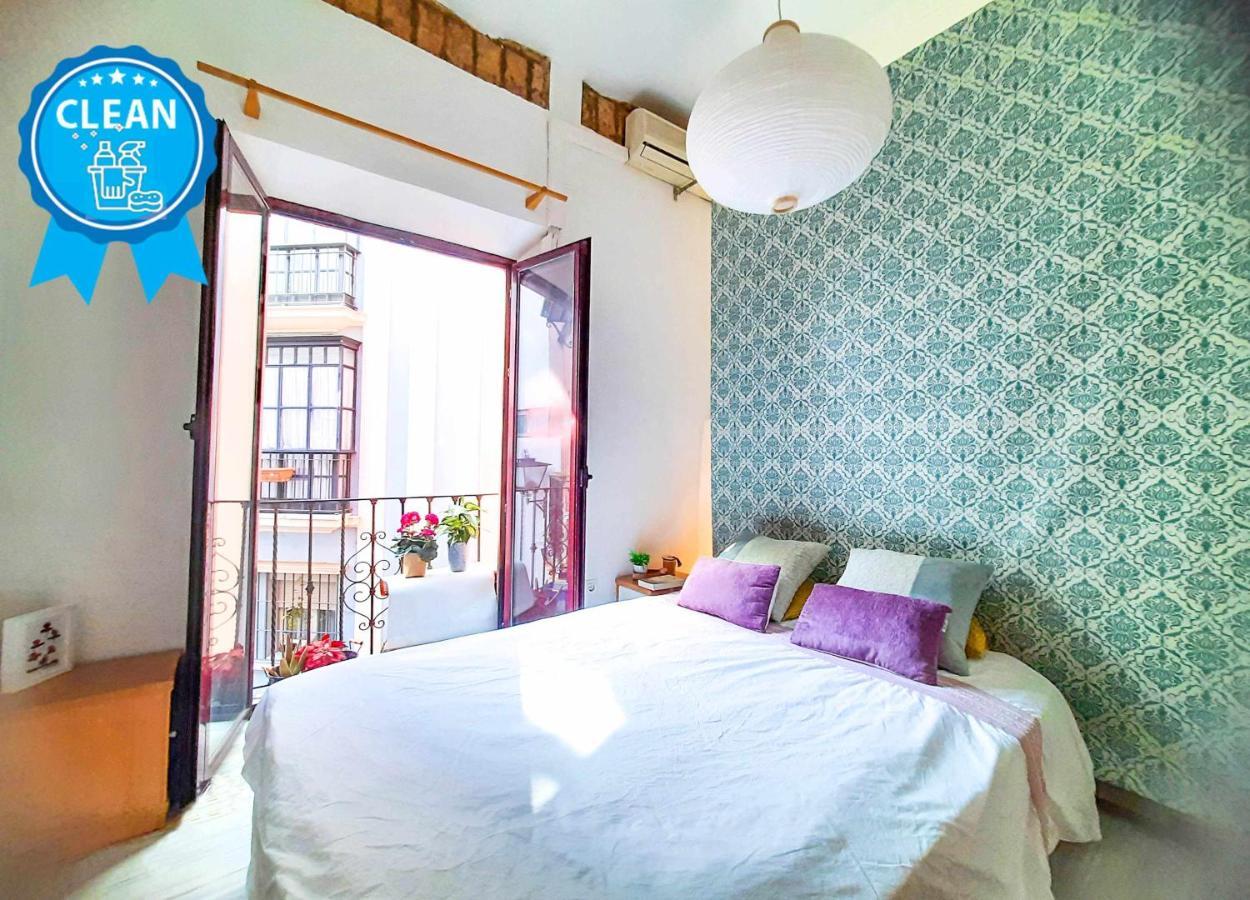 Lovely Center - Sunny Balcony Alfalfa *