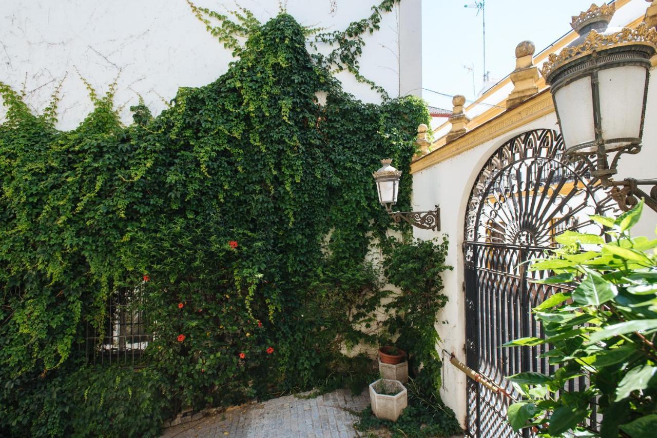 Apartamento Vidrio *