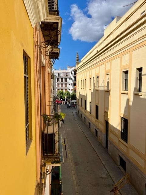 Apartamento Duplex Con Terraza Privada, 200 Metros De Catedral Sevilla