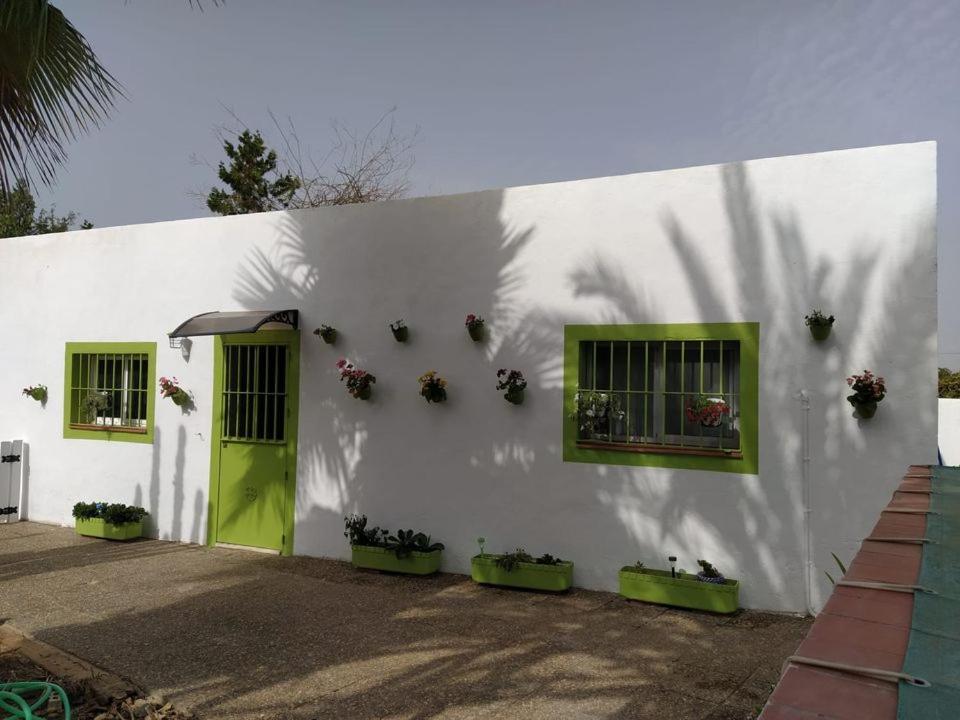 Abba * Seville