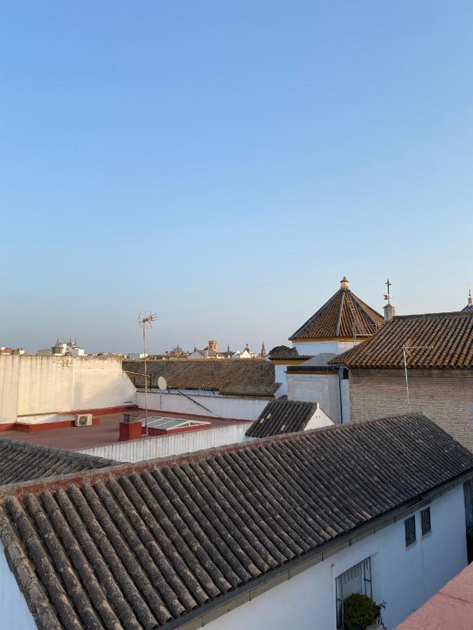Beautiful In Historic Center Sevilla