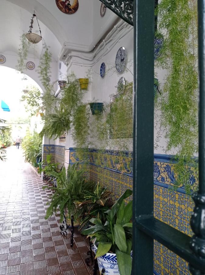 Apartamento Carmona&house Sevilla
