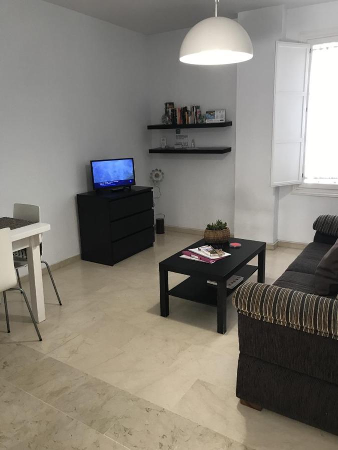 Apartamento Conde De Ibarra