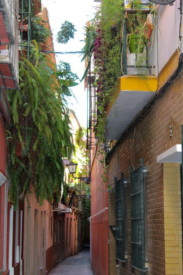Street Apartment *