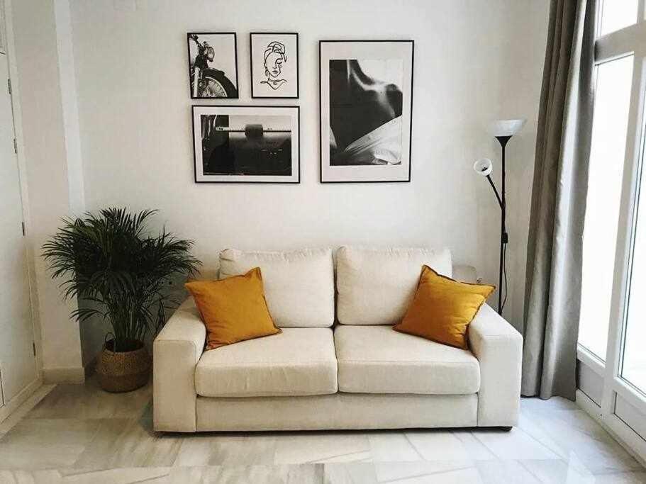 Monkeys Cocos Apartment