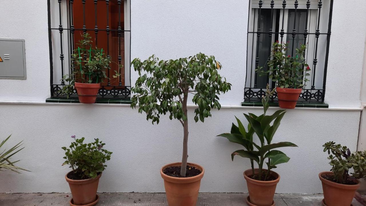 Carmona&house Apartamento *