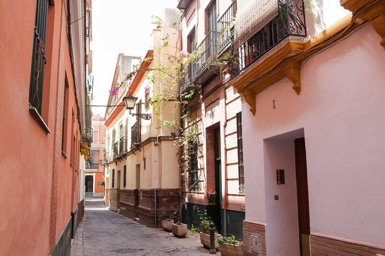 Apartamento Charming With Pool And Garage *