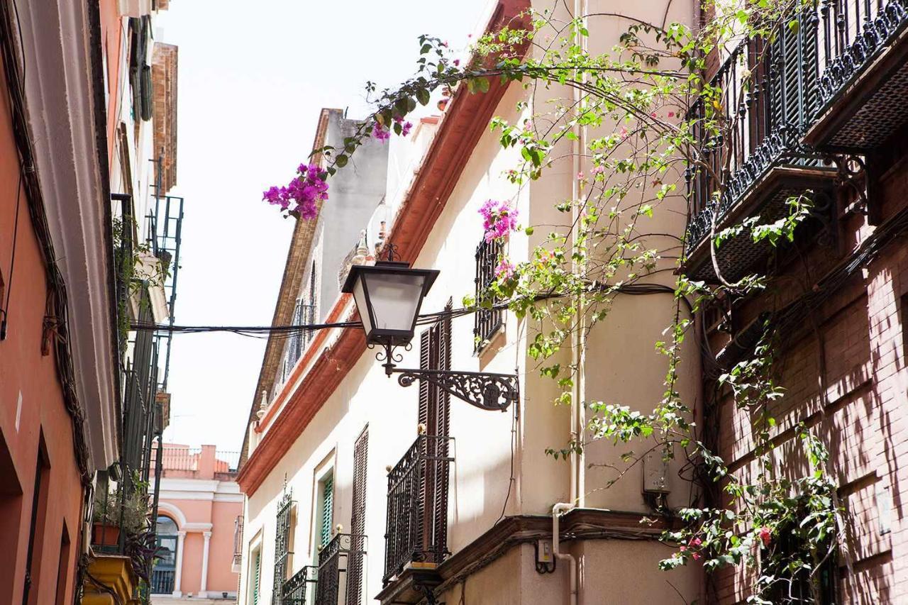 Apartamento Charming With Pool And Garage