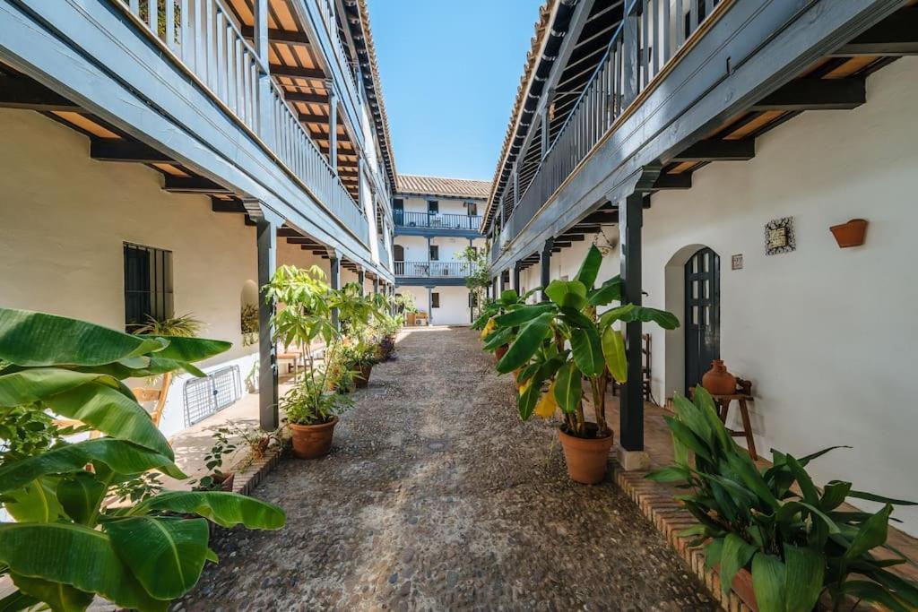 New In Traditional Building Of The Xvi Century Apartment