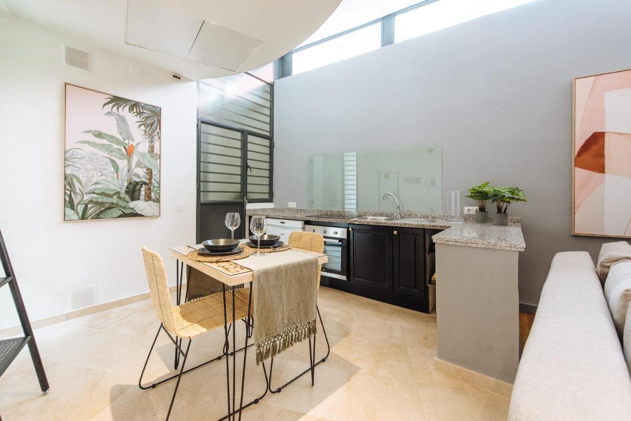 Apartamento Conde De Ibarra *
