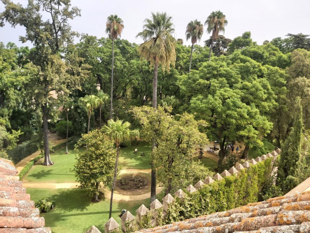 Apartamento La Casa De San Fernando Con Vistas A Reales Alcázares Sevilla