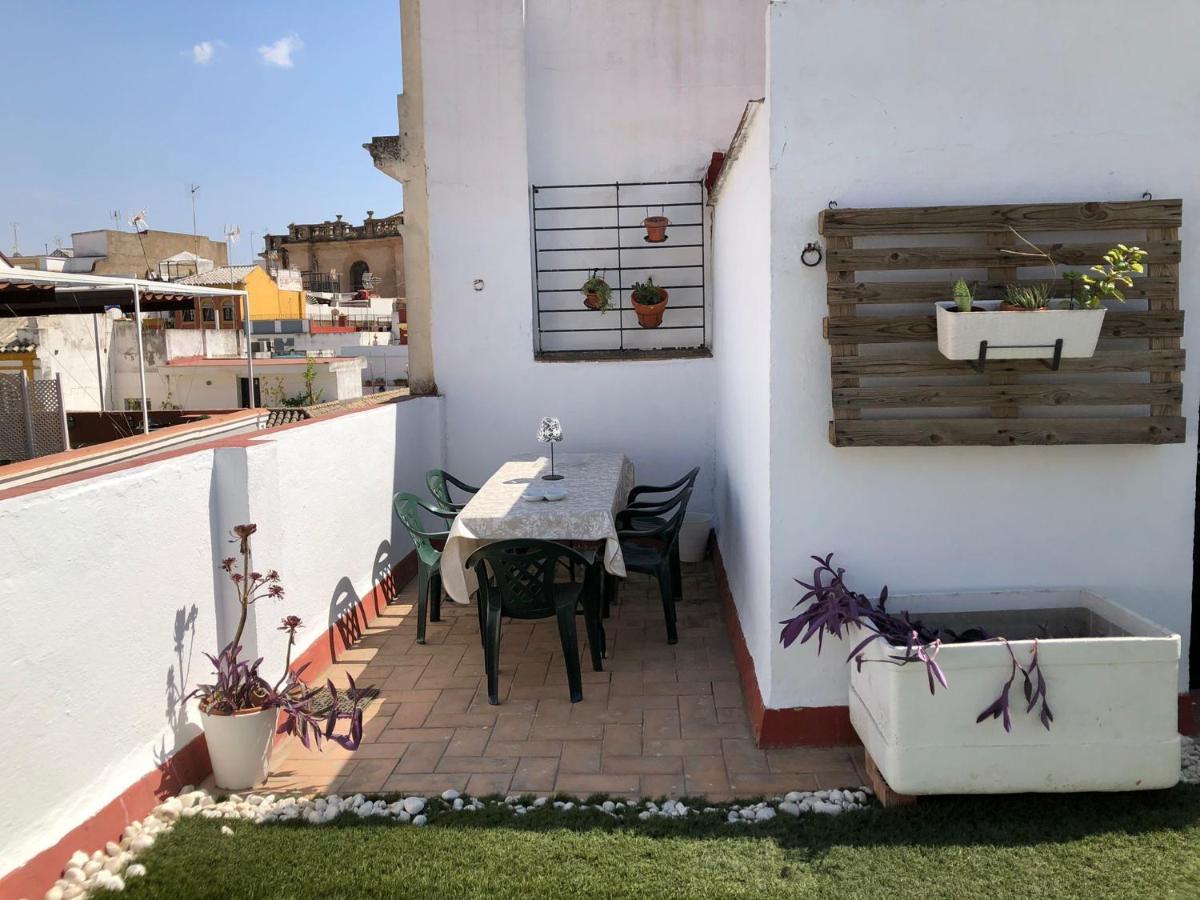 Precioso Apartamento Con Terraza Compartida Apartment