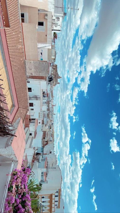 Llama Sevilla
