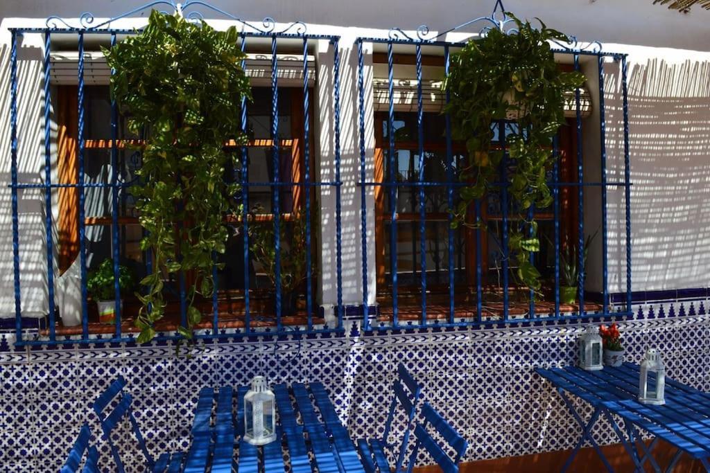Apartment En Centro Con Vistas A La Plaza Alameda De Hercules - Hasta 7 Personas *