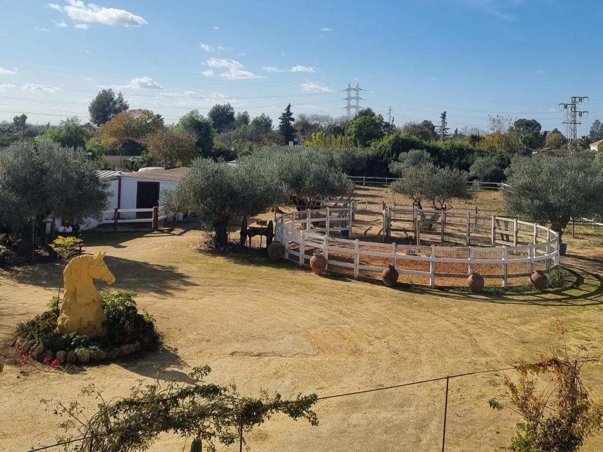 Villa Rural La Canera 16 Huespedes Seville