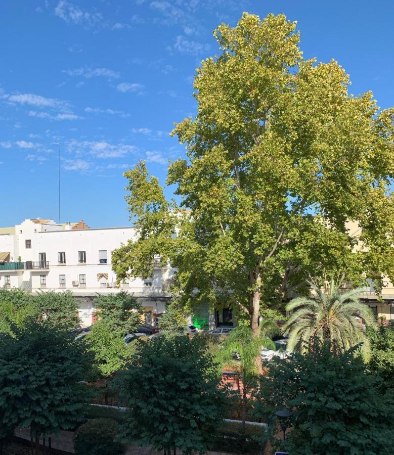 Acogedor En Pleno Corazon De Triana * Seville