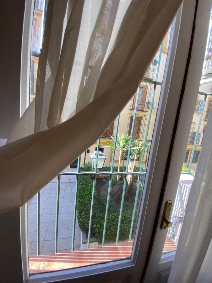 Apartamento Palace *