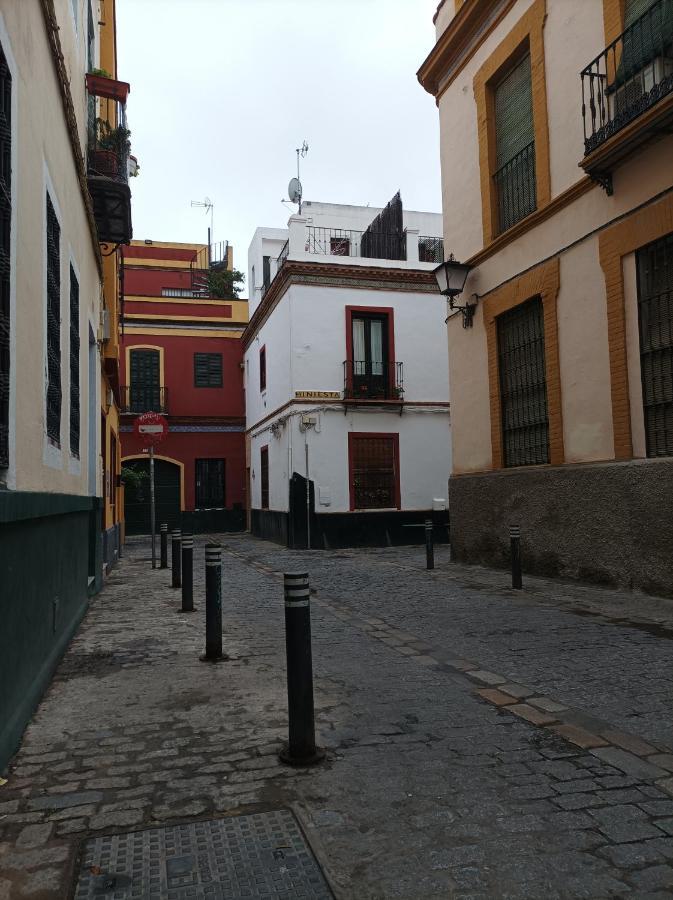 Encantador En El Centro