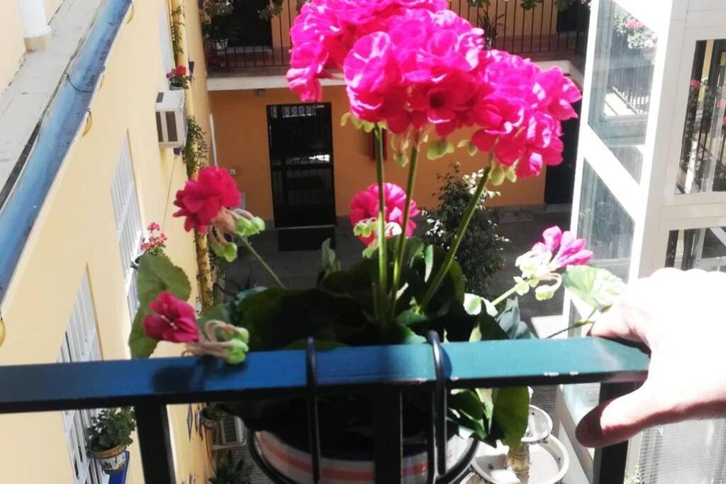 Apartamento El Patio De San Bernardo