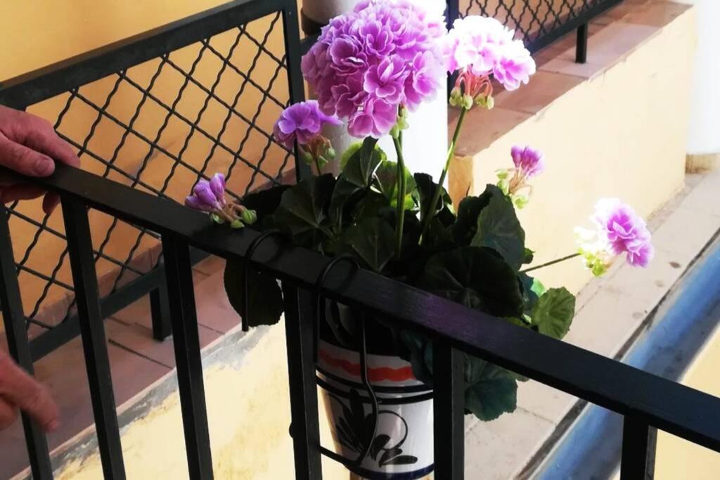 El Patio De San Bernardo Apartamento *