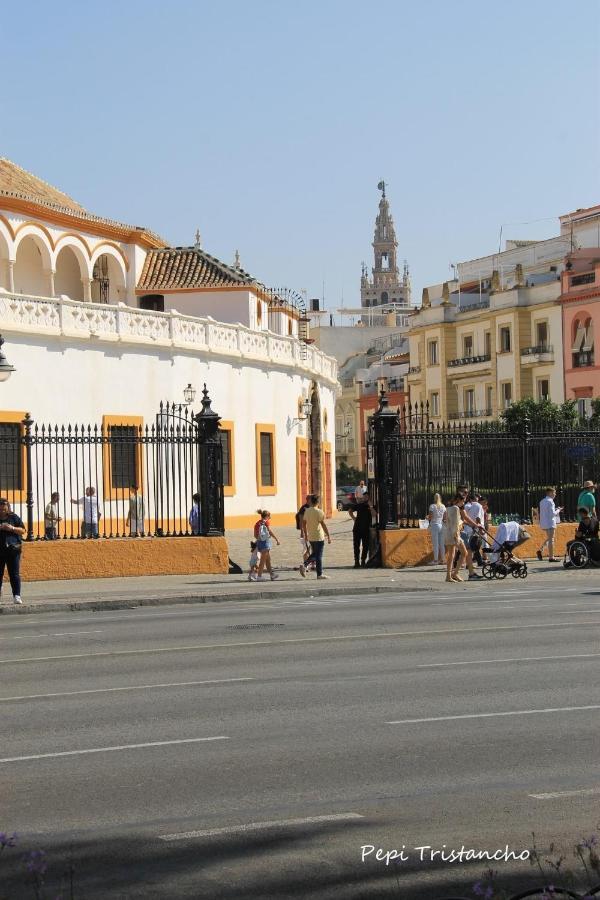 Suites Setas & Bicicletas Electricas Gratis Apartamento Sevilla