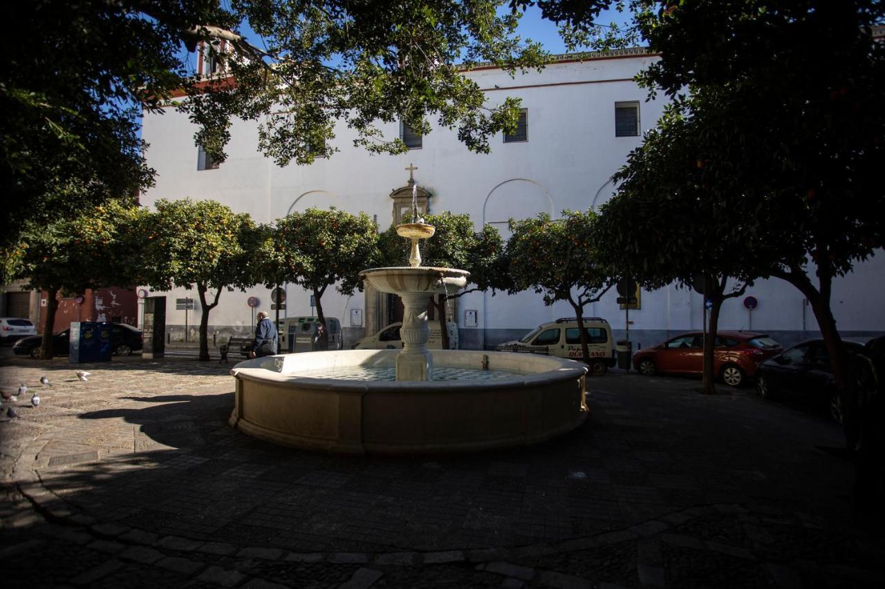 Beautiful In Center Sevilla