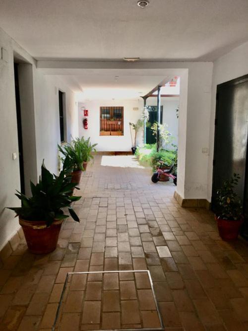 Apartamento La Terraza Azul