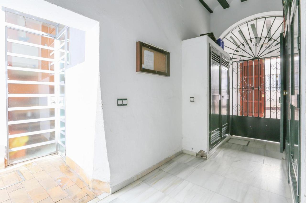 Apartamento Alameda De Hercules (adults Only) *