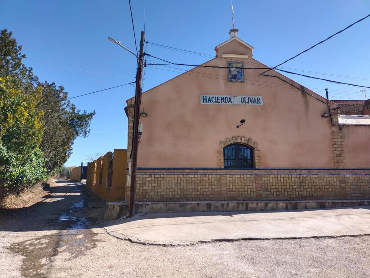 Casa Cortijo Olivar Sevilla