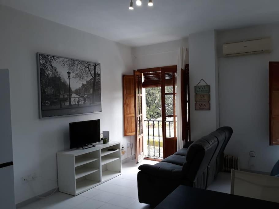 Apartamento Don Fadrique Estudio *