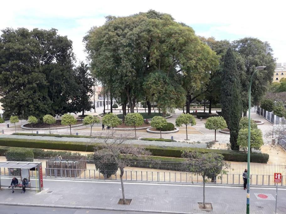 Apartamento Don Fadrique Estudio Sevilla