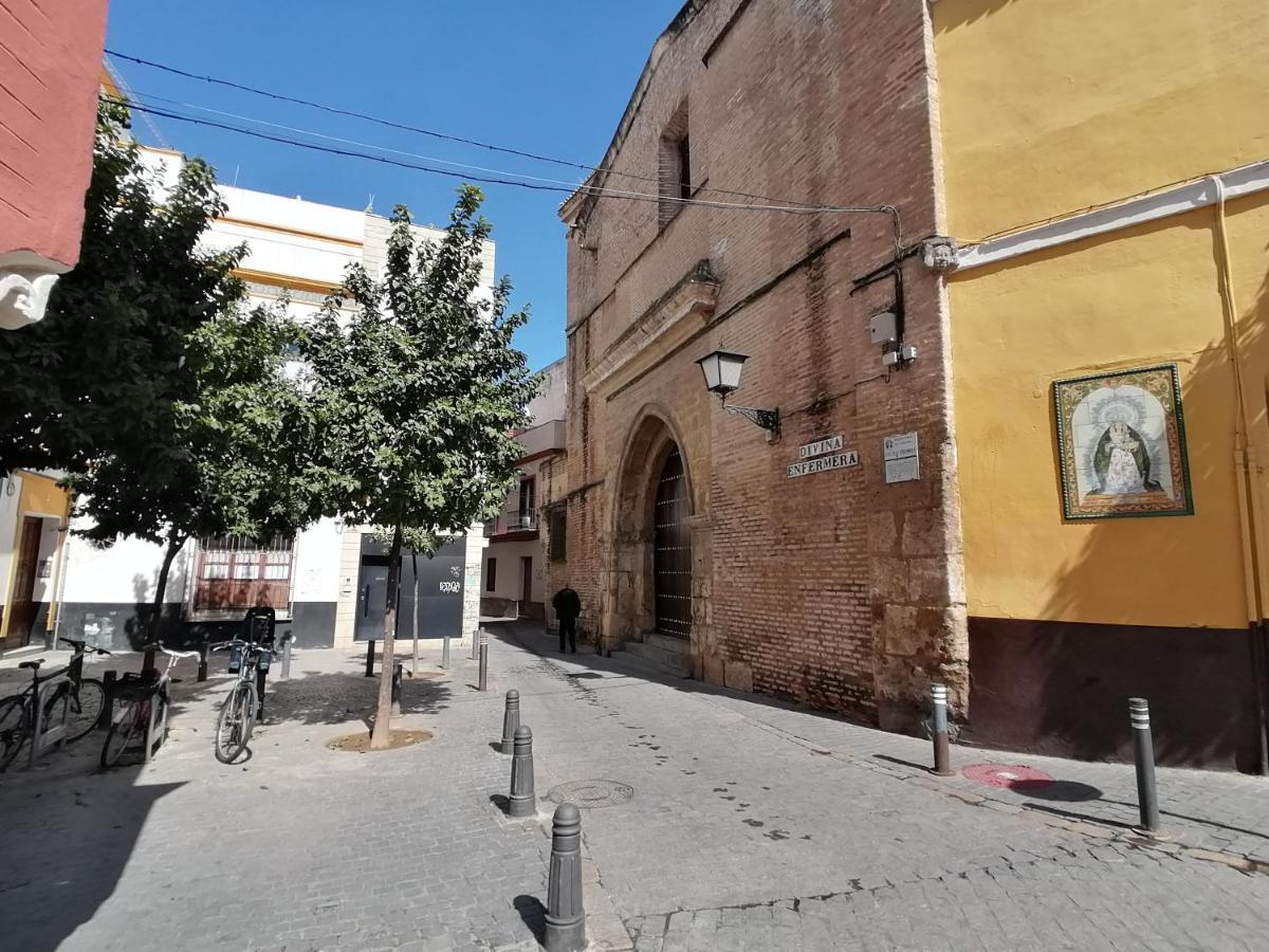 Apartment Penthouse At Center With Terrace Seville