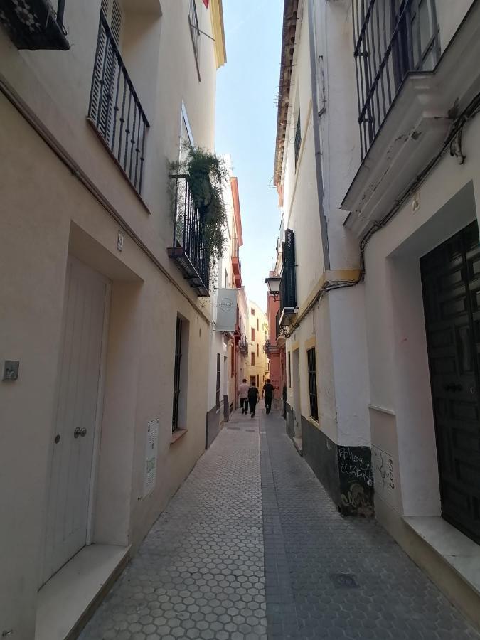 Penthouse At Center With Terrace * Seville