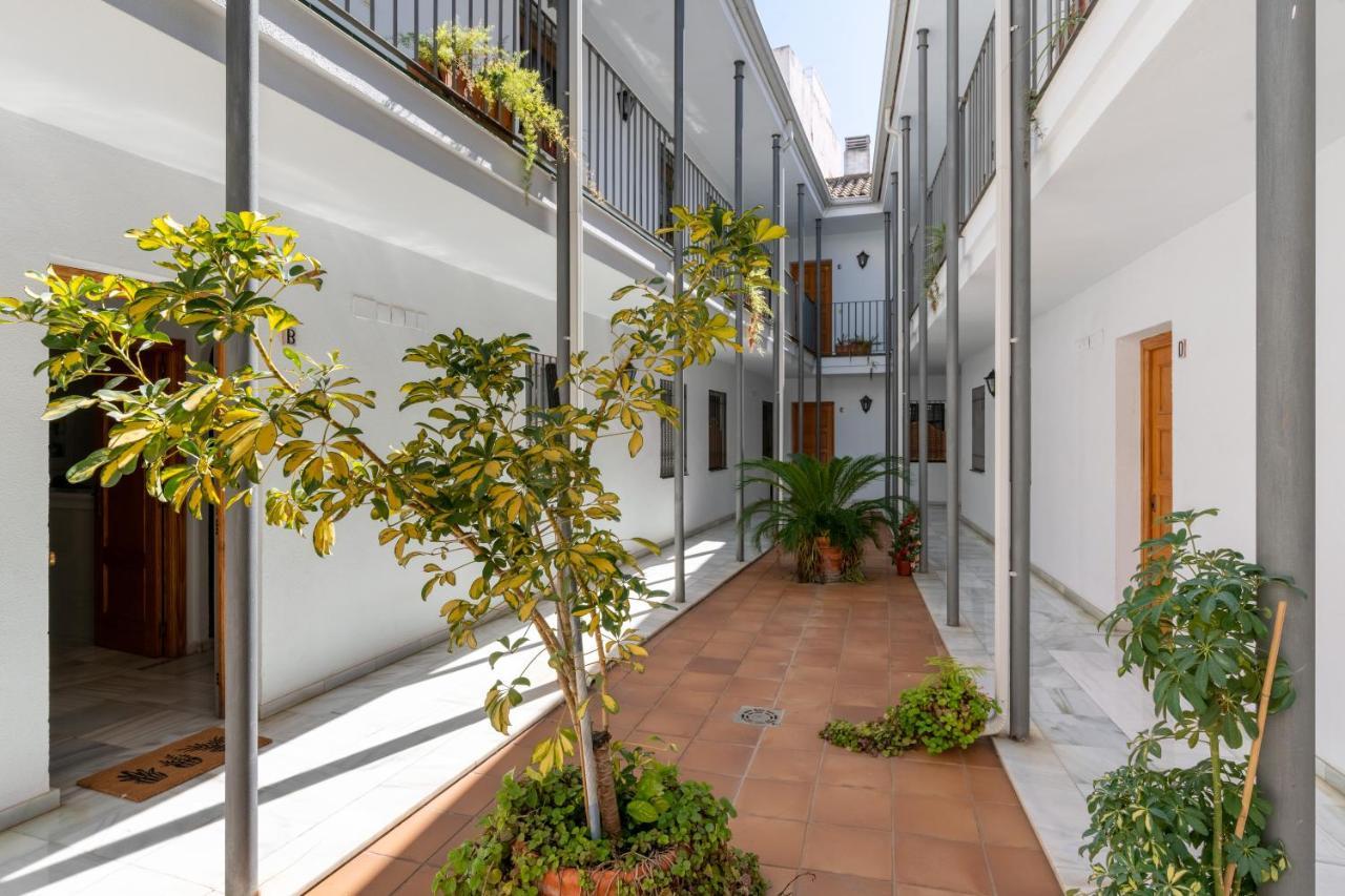 Monsalves, 29 Apartamento