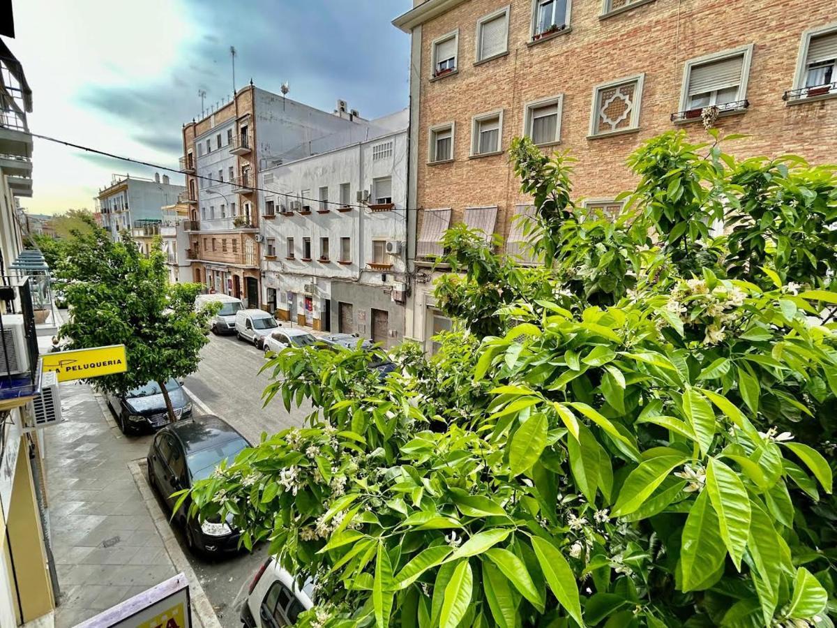 Apartment Hispalis Triana *