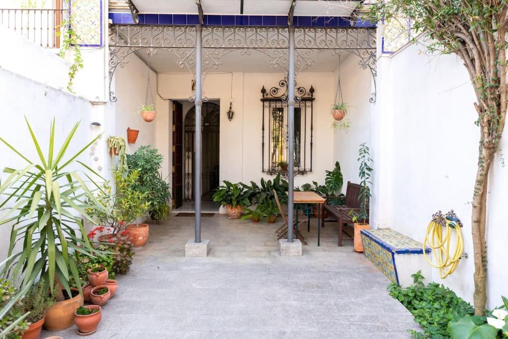 Behouse Alameda Seville