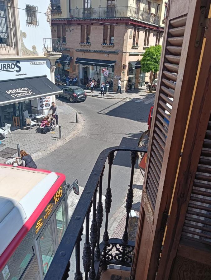 Calle Feria Apartamento *