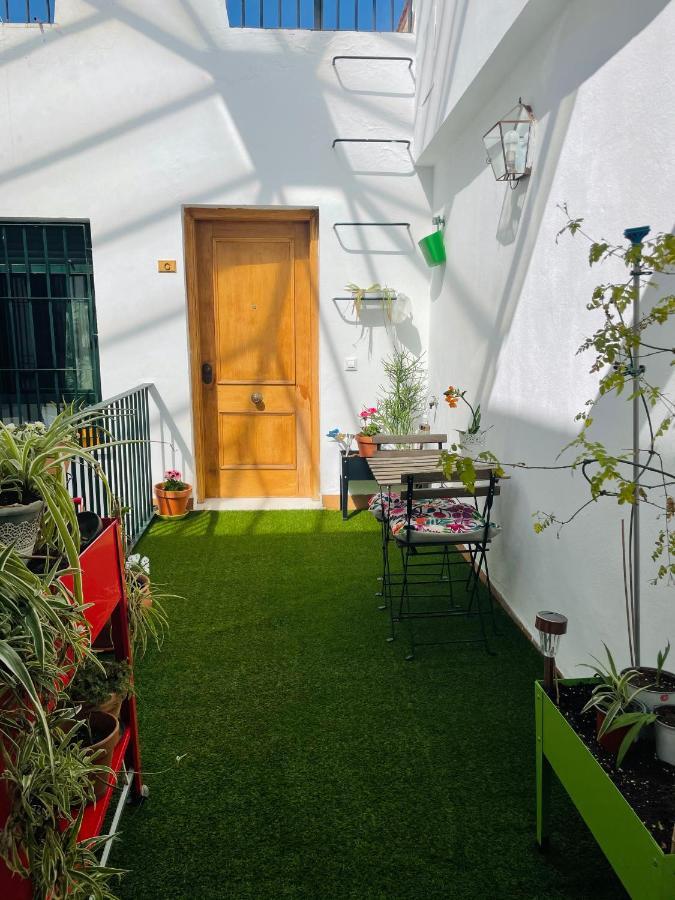 Penthouse At Center With Terrace